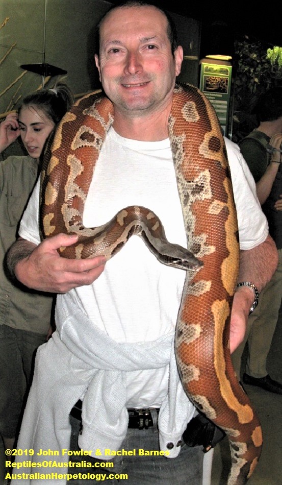  python